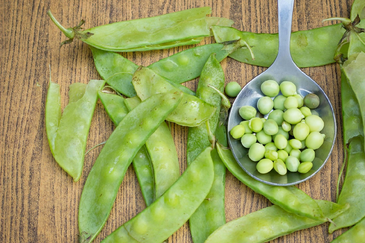 7 fonti vegetali ricche di proteine per aumentare energia e benessere durante la giornata