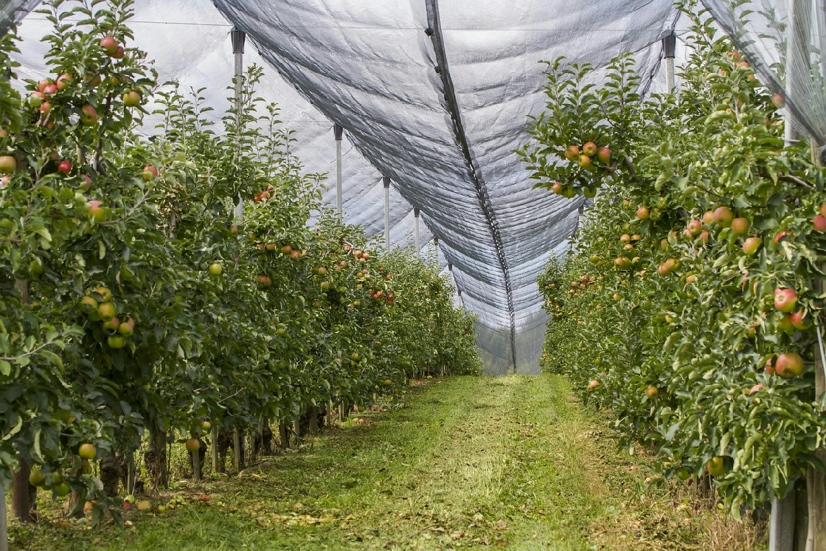 Due giovani agricoltori premiati per il loro contributo all’agricoltura biologica rigenerativa