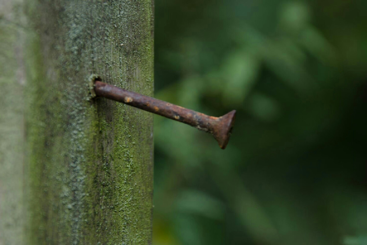 Perché gli antichi interravano chiodi arrugginiti nei campi coltivati: segreti di una pratica dimenticata