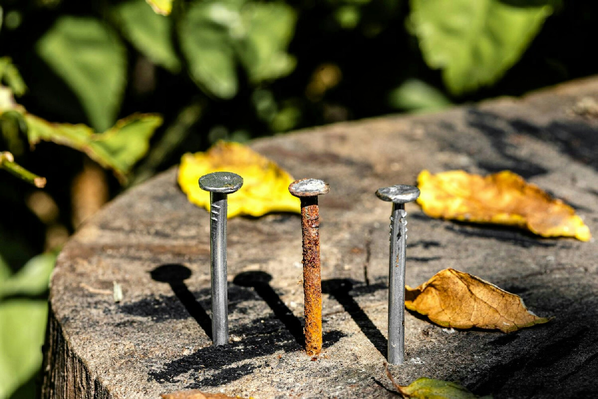 Perché gli antichi interravano chiodi arrugginiti nei campi coltivati: segreti di una pratica dimenticata